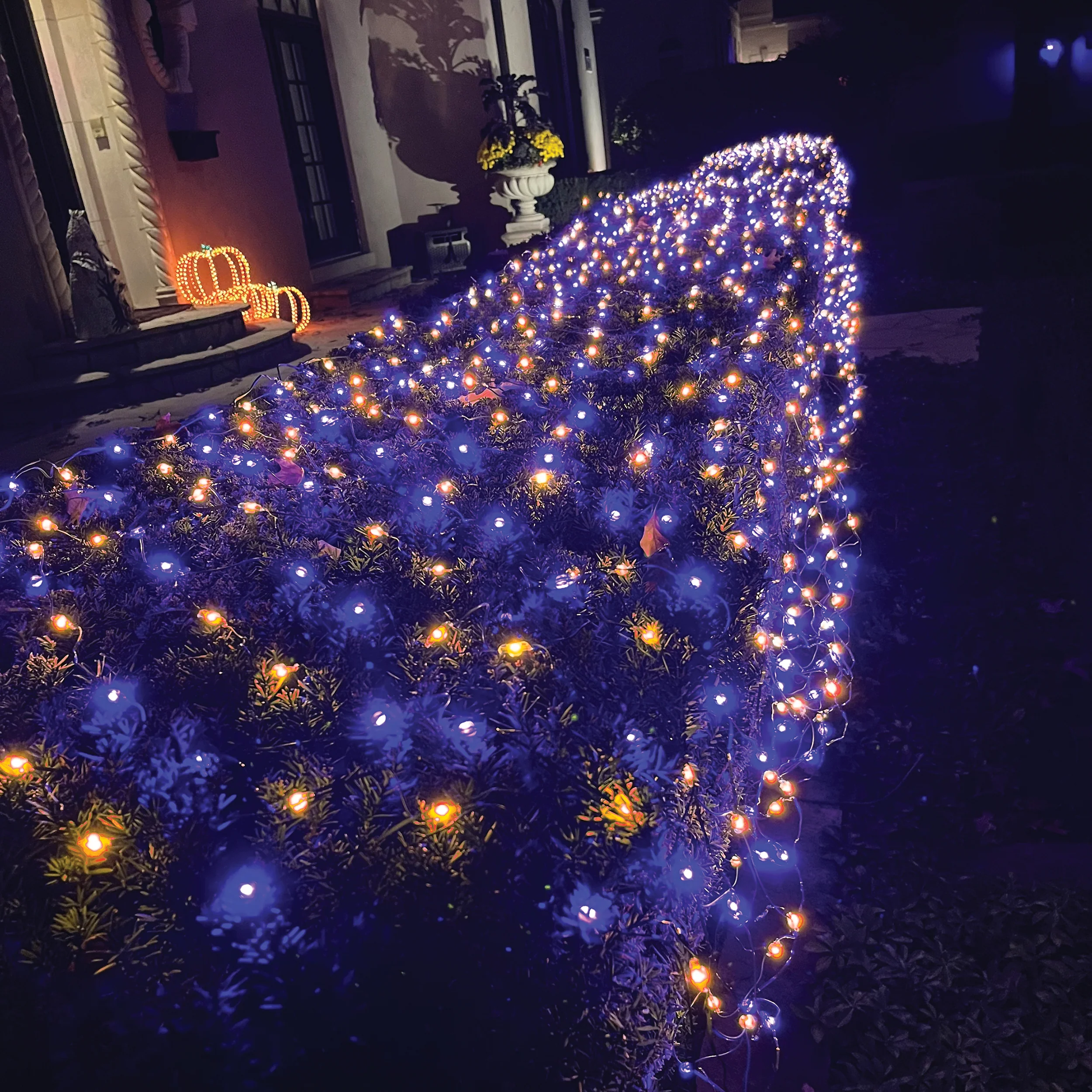 Roman Lights Color-Changing Starry LED Net Lights - Image 2