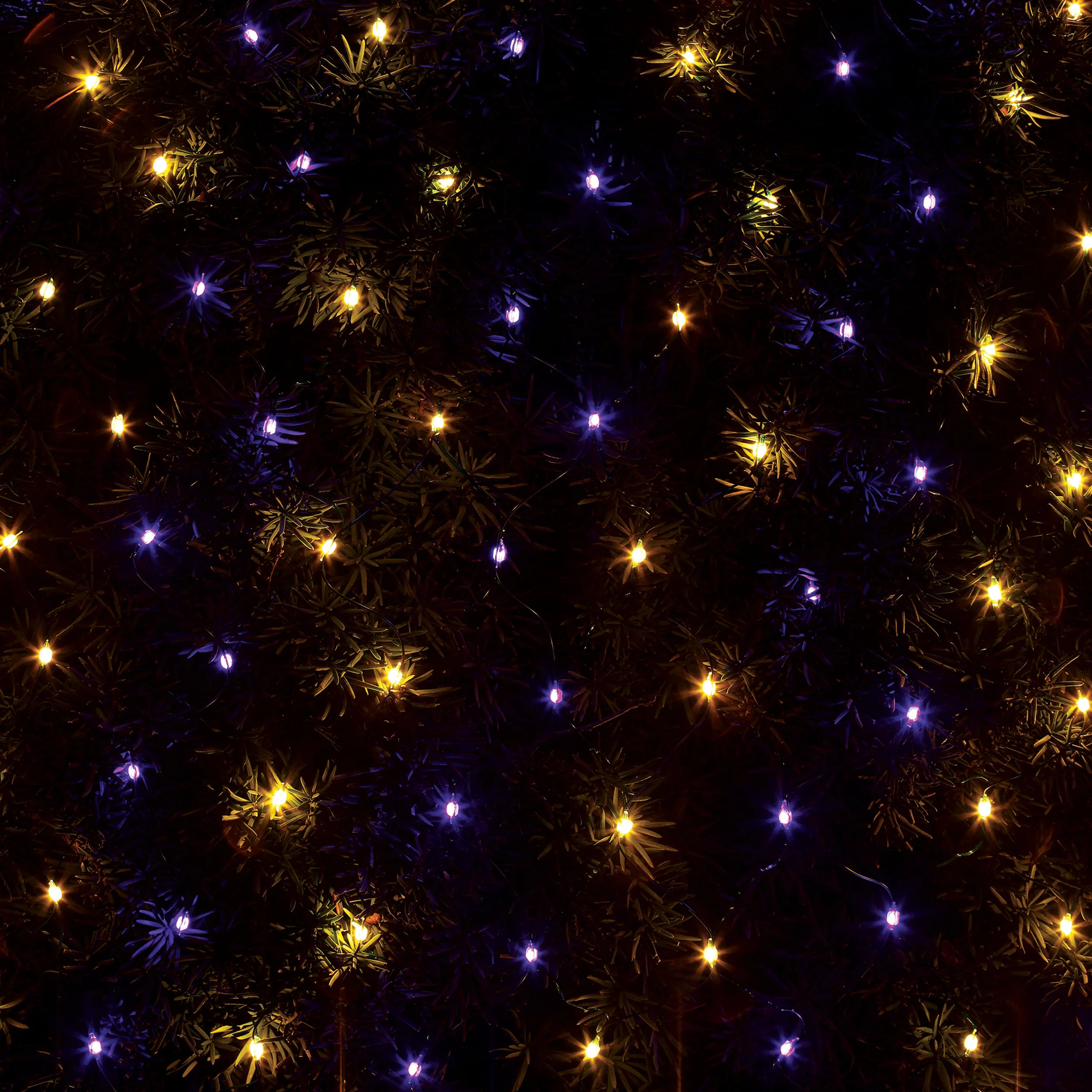 Roman Lights Color-Changing Starry LED Net Lights - Image 3