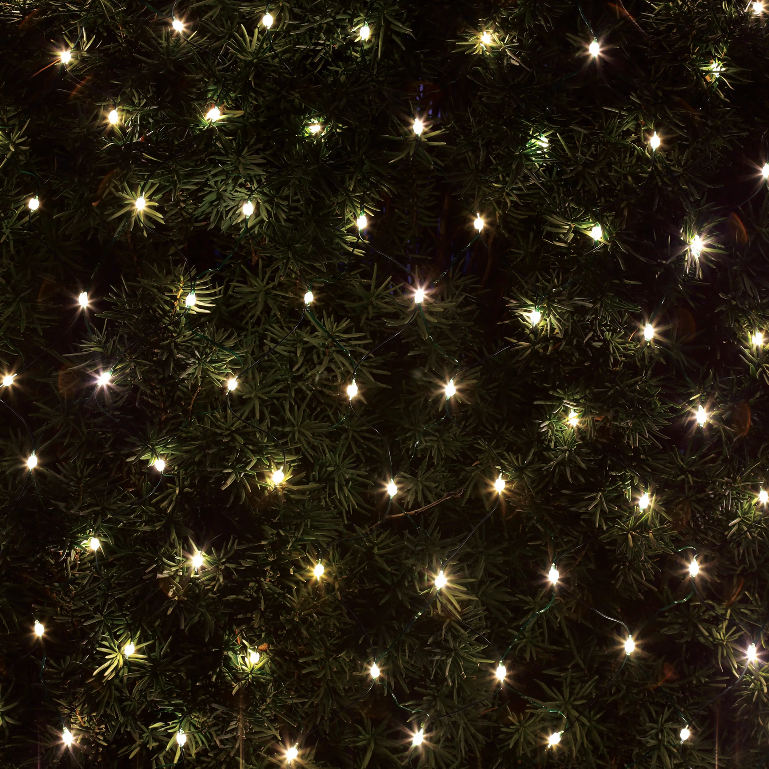 Roman Lights Color-Changing Starry LED Net Lights - Image 4